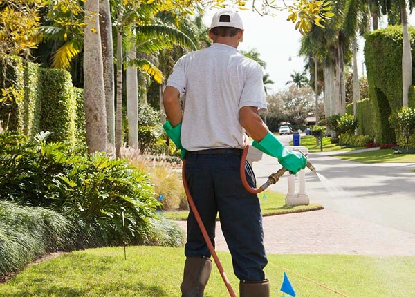 About Parker KS Pest Control